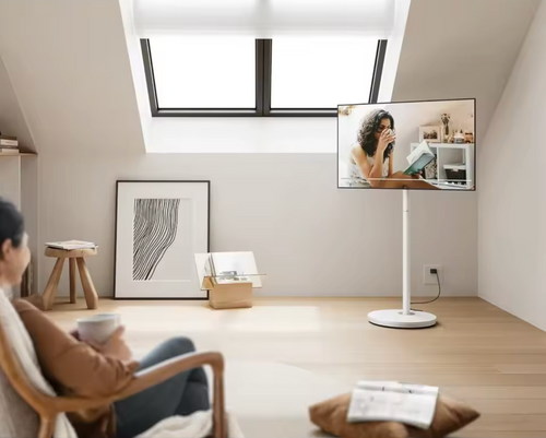 Portable TV Monitor